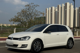 大众 高尔夫 2017款 230TSI 自动豪华百万辆纪念版