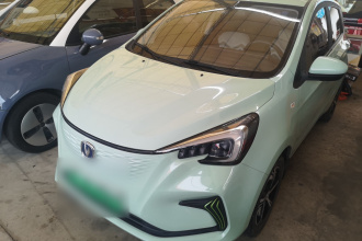 长安 奔奔E-Star 2022款 清心版 多彩款 磷酸铁锂