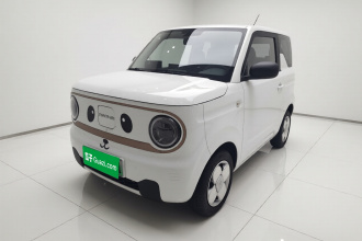吉利银河 2023款 熊猫mini 200km 耐力熊