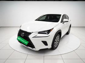 雷克萨斯NX 2018款 300 前驱 锋行版