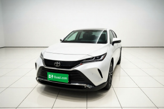 丰田 凌放HARRIER 2023款 2.0L CVT两驱20周年铂金纪念版