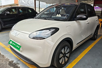 五菱汽车 五菱缤果 2023款 333km 灵犀互联+款
