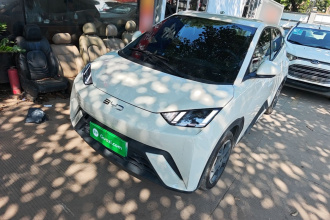 比亚迪 海鸥 2024款 荣耀版 405km 飞翔版