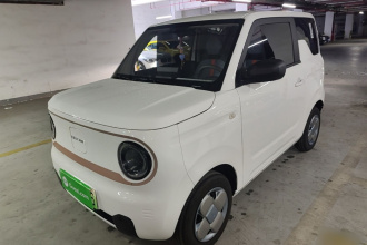 吉利银河 2024款 熊猫mini 200km 耐力熊