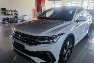 大众 途观X 2021款 330TSI 两驱旗舰版