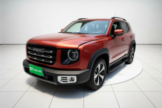 哈弗大狗 2021款 1.5T DCT两驱拉布拉多版