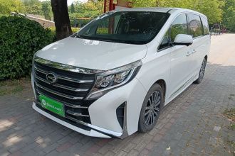 广汽传祺 传祺M8 2021款 领秀系列 390T 至尊版
