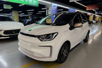 思皓 2022款 花仙子款 四叶草