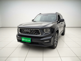 哈弗大狗 PLUS 2023款 1.5T 两驱潮野版Plus