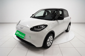 五菱汽车 五菱缤果 2025款 203km 轻享款