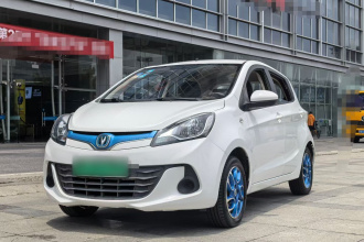长安 奔奔EV 2019款 EV360 标准型