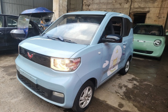 五菱汽车 宏光MINIEV 2020款 自在款 磷酸铁锂