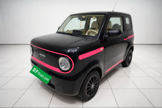吉利银河 2023款 熊猫mini 200km 耐力熊