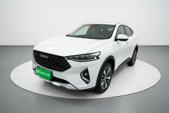哈弗F7x 2019款 1.5T 两驱极智潮玩版