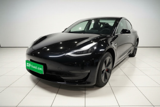特斯拉 Model 3(进口) 2019款 长续航后驱版