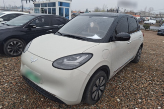 五菱汽车 五菱缤果 2024款 333km 悦享款