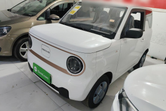 吉利银河 2024款 熊猫mini 200km 耐力熊