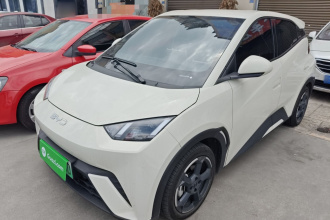 比亚迪 海鸥 2024款 荣耀版 305km 自由版