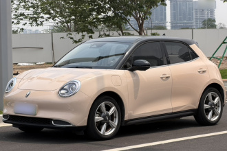 欧拉好猫 2021款 400km标准续航 维纳斯版 三元锂