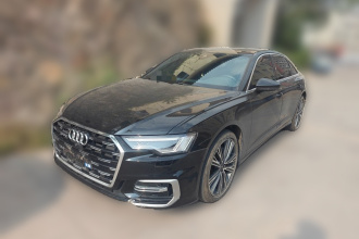 奥迪A6L 2023款 45 TFSI quattro 尊享动感型