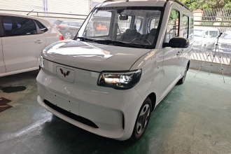 五菱汽车 五菱之光新能源 2025款 305km 进取型