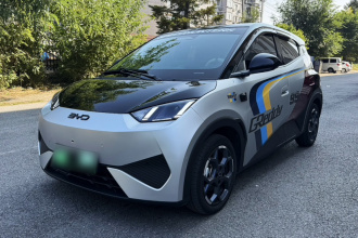 比亚迪 海鸥 2025款 智驾版 305km 自由版