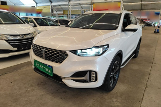 魏牌 VV6 2021款 2.0T 两驱智护+