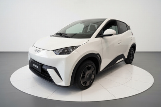 比亚迪 海鸥 2024款 荣耀版 305km 活力版