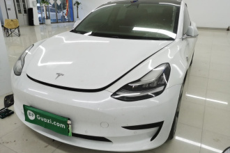 特斯拉 Model 3(进口) 2019款 标准续航后驱升级版