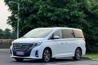 广汽传祺 传祺M8 2020款 领航款 390T 至尊版