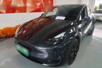 特斯拉 Model Y 2024款 长续航全轮驱动版