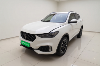 魏牌 VV6 2020款 2.0T 两驱智享+