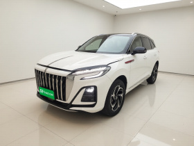 红旗HS3 2023款 1.5T 两驱善为版