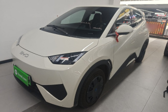 比亚迪 海鸥 2025款 智驾版 305km 活力版