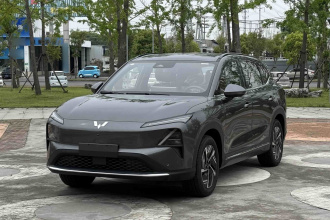 五菱汽车 五菱星光S 2024款 510km 旗舰型