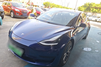 特斯拉 Model 3 2019款 标准续航后驱升级版