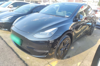 特斯拉 Model Y 2023款 长续航全轮驱动版