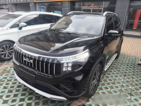 起亚 智跑 2021款 Ace 2.0L 精彩版