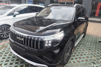 起亚 智跑 2021款 Ace 2.0L 精彩版