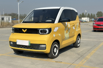 五菱汽车 宏光MINIEV 2021款 马卡龙时尚款 磷酸铁锂
