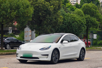 特斯拉 Model 3 2020款 改款 标准续航后驱升级版