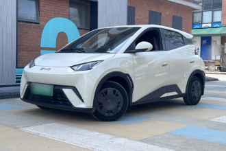 比亚迪 海鸥 2024款 荣耀版 305km 活力版