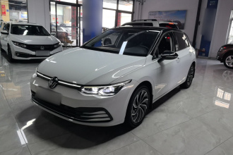 大众 高尔夫 2023款 280TSI DSG Pro