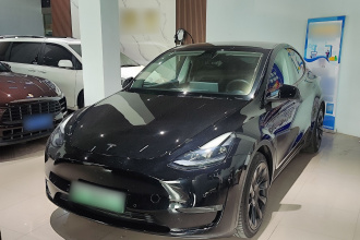 特斯拉 Model Y 2021款 标准续航后驱版