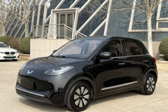 五菱汽车 五菱缤果 2023款 333km 悦享款