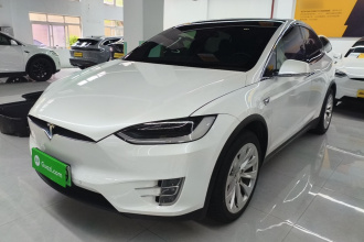 特斯拉 Model X 2019款 长续航版