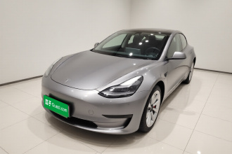 特斯拉 Model 3 2021款 标准续航后驱升级版