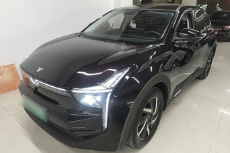 哪吒汽车 哪吒U 2022款 智500 Pro 三元锂