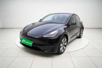特斯拉 Model Y 2021款 标准续航后驱版