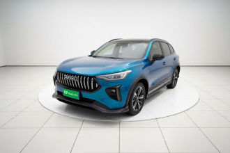 哈弗赤兔 2021款 激擎版 1.5T 黄金兔